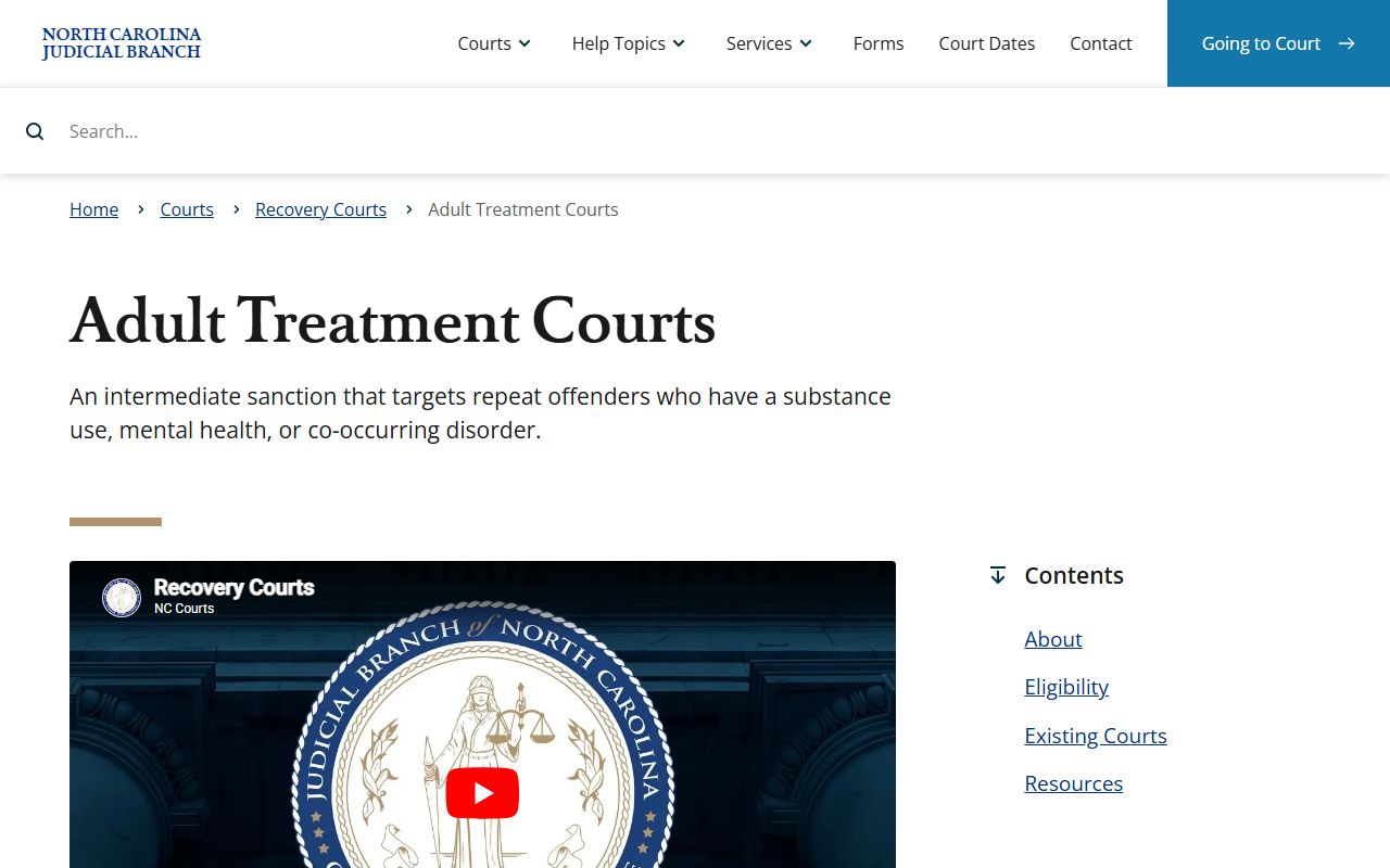 Forsyth County District Court adult treatment court records